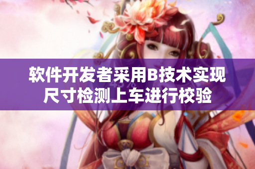 軟件開發(fā)者采用B技術(shù)實(shí)現(xiàn)尺寸檢測上車進(jìn)行校驗