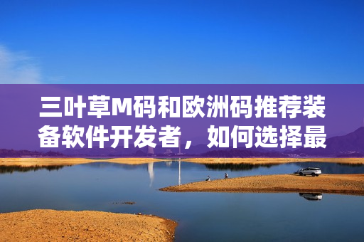三葉草M碼和歐洲碼推薦裝備軟件開發(fā)者，如何選擇最適合的編碼規(guī)范？