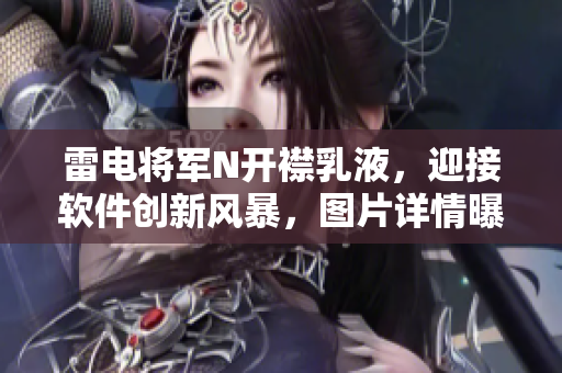 雷電將軍N開(kāi)襟乳液，迎接軟件創(chuàng)新風(fēng)暴，圖片詳情曝光