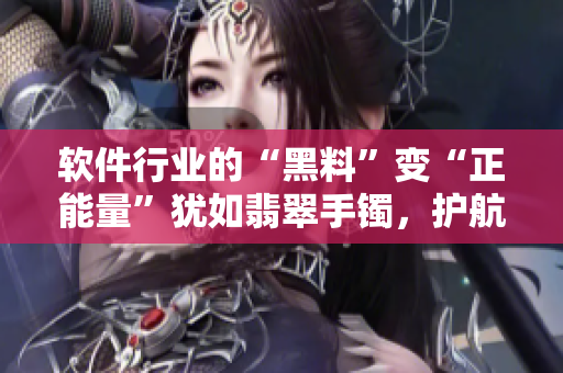 軟件行業(yè)的“黑料”變“正能量”猶如翡翠手鐲，護(hù)航未來！