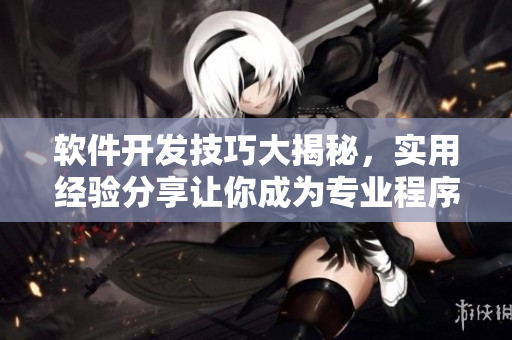 軟件開發(fā)技巧大揭秘，實(shí)用經(jīng)驗(yàn)分享讓你成為專業(yè)程序員