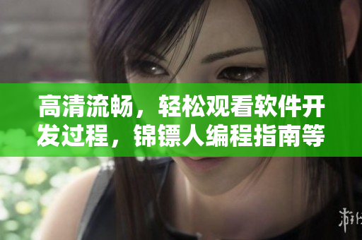 高清流暢，輕松觀看軟件開發(fā)過程，錦鏢人編程指南等你來學(xué)習(xí)