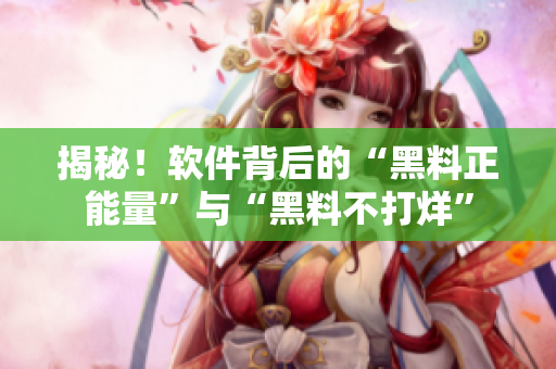 揭秘！軟件背后的“黑料正能量”與“黑料不打烊”