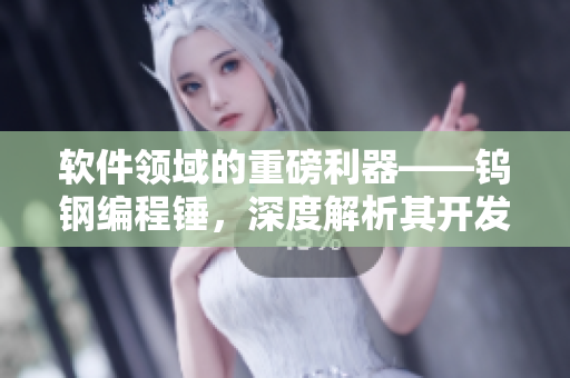 軟件領(lǐng)域的重磅利器——鎢鋼編程錘，深度解析其開發(fā)及使用技巧