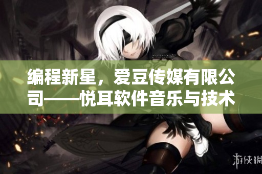 編程新星，愛豆傳媒有限公司——悅耳軟件音樂與技術(shù)結(jié)合的天空開拓者