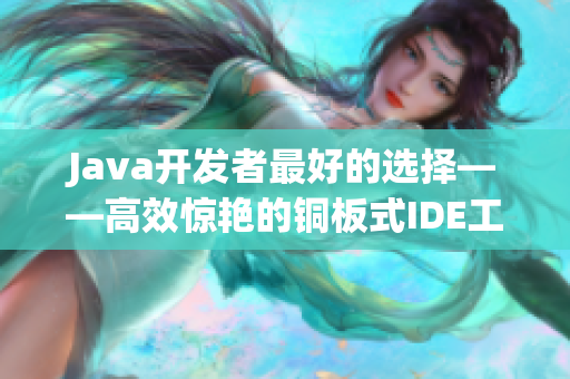 Java開(kāi)發(fā)者最好的選擇——高效驚艷的銅板式IDE工具