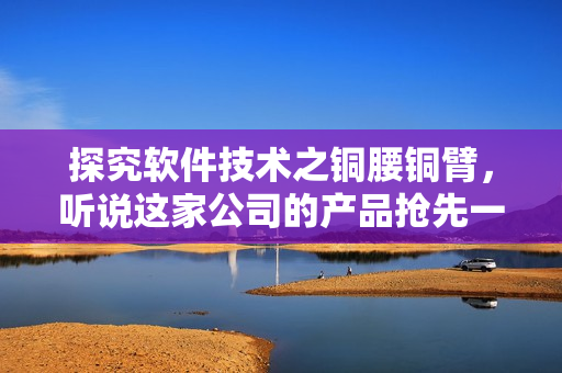 探究軟件技術之銅腰銅臂，聽說這家公司的產(chǎn)品搶先一步