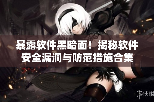 暴露軟件黑暗面！揭秘軟件安全漏洞與防范措施合集