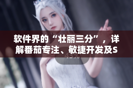 軟件界的“壯麗三分”，詳解番茄專注、敏捷開發(fā)及Scrum管理法