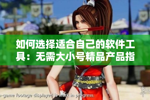 如何選擇適合自己的軟件工具：無需大小號精品產(chǎn)品指南