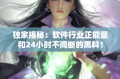 獨(dú)家揭秘：軟件行業(yè)正能量和24小時(shí)不間斷的黑料！