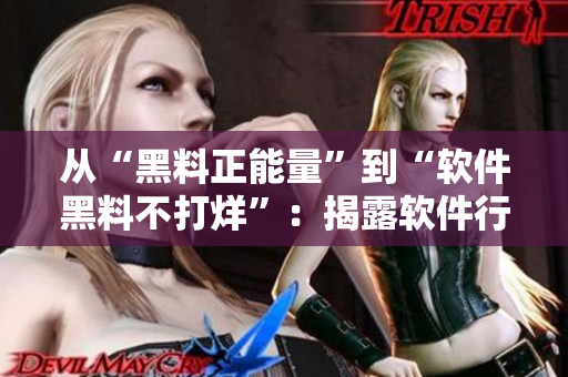 從“黑料正能量”到“軟件黑料不打烊”：揭露軟件行業(yè)的黑暗真相！