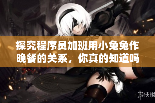 探究程序員加班用小兔兔作晚餐的關(guān)系，你真的知道嗎？