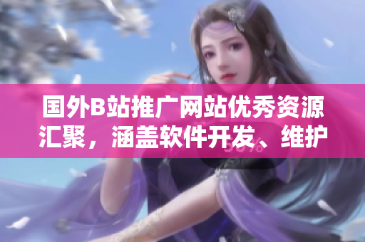 國(guó)外B站推廣網(wǎng)站優(yōu)秀資源匯聚，涵蓋軟件開(kāi)發(fā)、維護(hù)等全方位知識(shí)分享