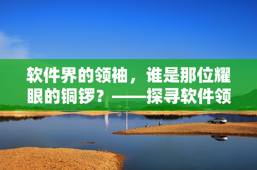 軟件界的領(lǐng)袖，誰是那位耀眼的銅鑼？——探尋軟件領(lǐng)域的頂尖人物