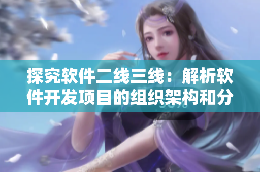 探究軟件二線三線：解析軟件開發(fā)項目的組織架構(gòu)和分工