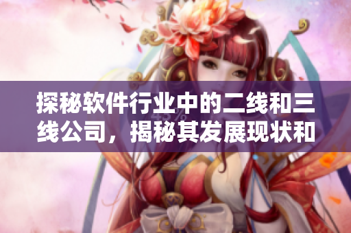 探秘軟件行業(yè)中的二線和三線公司，揭秘其發(fā)展現(xiàn)狀和未來前景