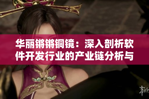 華麗鏘鏘銅鏡：深入剖析軟件開發(fā)行業(yè)的產(chǎn)業(yè)鏈分析與趨勢預(yù)測