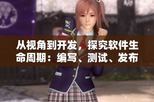 從視角到開發(fā)，探究軟件生命周期：編寫、測試、發(fā)布、維護(hù)、升級