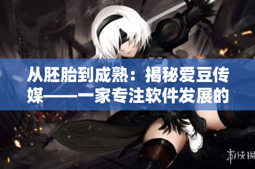 從胚胎到成熟：揭秘愛(ài)豆傳媒——一家專(zhuān)注軟件發(fā)展的歷史與未來(lái)