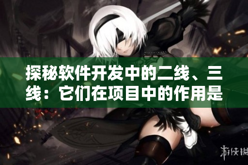 探秘軟件開發(fā)中的二線、三線：它們在項目中的作用是什么？