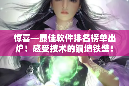 驚喜—最佳軟件排名榜單出爐！感受技術(shù)的銅墻鐵壁！
