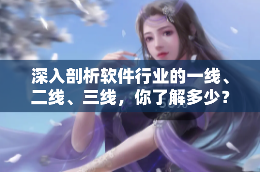 深入剖析軟件行業(yè)的一線、二線、三線，你了解多少？