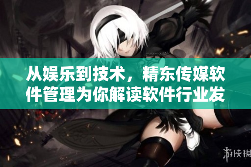 從娛樂到技術，精東傳媒軟件管理為你解讀軟件行業(yè)發(fā)展趨勢