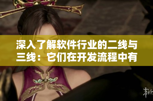 深入了解軟件行業(yè)的二線與三線：它們在開發(fā)流程中有何不同？