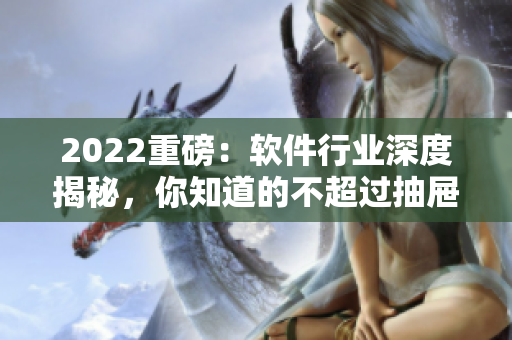 2022重磅：軟件行業(yè)深度揭秘，你知道的不超過抽屜里的那些代碼！