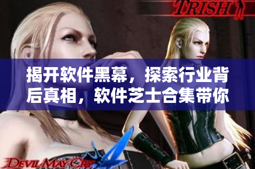 揭開軟件黑幕，探索行業(yè)背后真相，軟件芝士合集帶你深入了解軟件開發(fā)