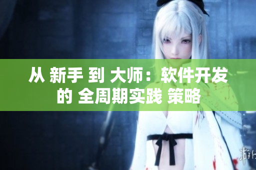 從 新手 到 大師：軟件開發(fā)的 全周期實(shí)踐 策略