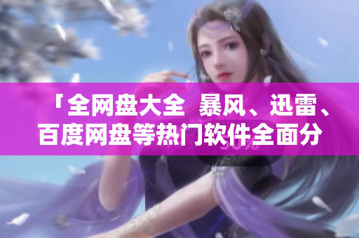 「全網(wǎng)盤大全  暴風(fēng)、迅雷、百度網(wǎng)盤等熱門軟件全面分析」