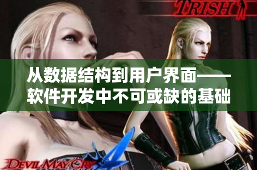 從數(shù)據(jù)結構到用戶界面——軟件開發(fā)中不可或缺的基礎與創(chuàng)意性