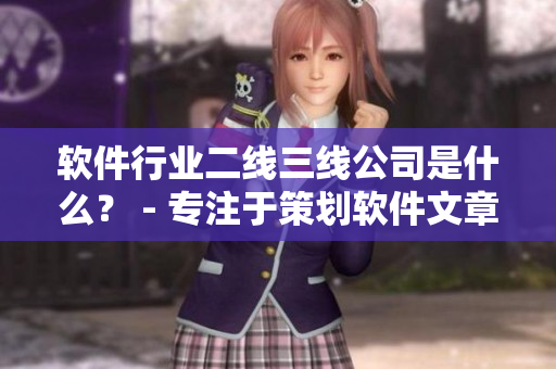 軟件行業(yè)二線三線公司是什么？ - 專注于策劃軟件文章的編輯