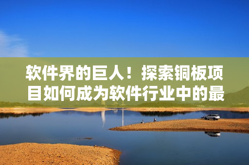 軟件界的巨人！探索銅板項目如何成為軟件行業(yè)中的最佳實踐