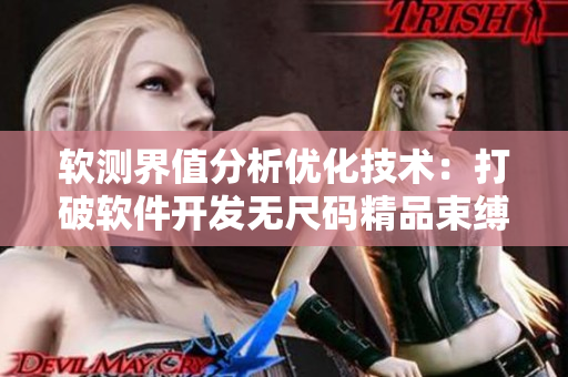 軟測(cè)界值分析優(yōu)化技術(shù)：打破軟件開(kāi)發(fā)無(wú)尺碼精品束縛
